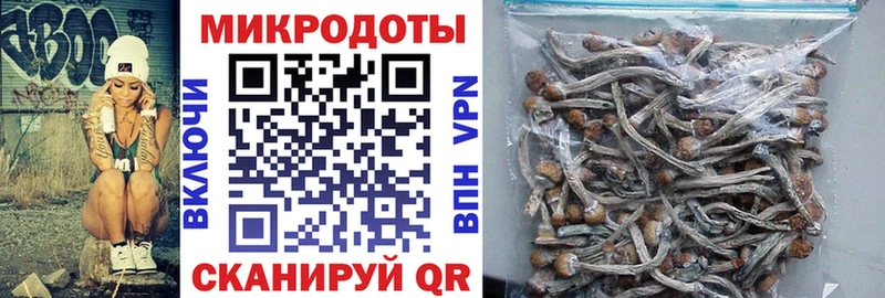 Галлюциногенные грибы прущие грибы  Каменск-Шахтинский 
